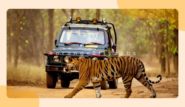 Nagpur to tadoba taxic
